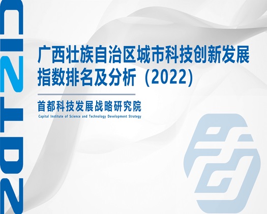 农村老女人黄色片操逼片【成果发布】广西壮族自治区城市科技创新发展指数排名及分析（2022）